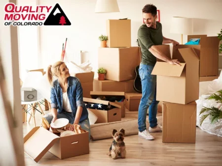 Create a Plan for Moving With Pets